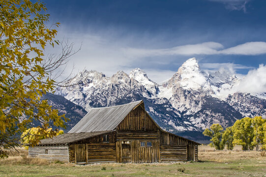T.A. Moulton Barn in autumn in the Mormon Row Historic District in Grant Teton National Park; Grand Teton County, Wyoming, United States of America
