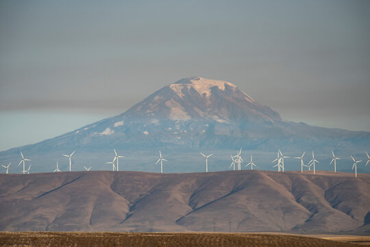 Foothills lined with wind turbines under a smoky sky from a wild fire with Mount Adams rising over the horizon; Condon, Oregon, United States of America