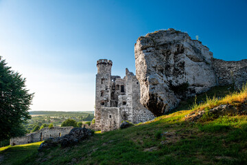 ruiny zamku w Ogrodzieńcu © piotr