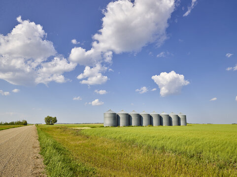 Zimmerman Road Country Farm with a row of grain storage bins in the middle of a green, grassy field of hay next to a dirt road; Saskatoon, Saskatchewan, Canada