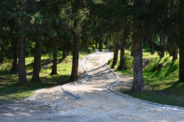 Fototapeta na wymiar a small winding road through the park