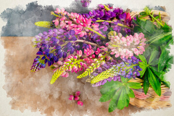 Bouquet of summer flowers watercolor illustration. Multicolored lupins. Floral background. Lupine flower digital drawing. Petal botanical plant.