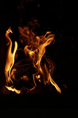 Fototapeta premium fuego nocturno