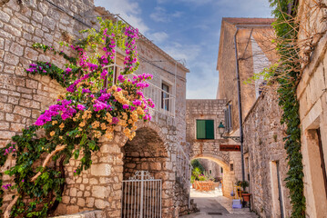 Flowering vines climb up the ancient stone walls along a narrow lane way in the picturesque island town; Stari Grad, Hvar, Croatia