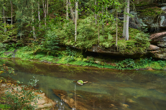 Schwarzach stream in the Schwarzach Chine; Schwarzenbruck, Franconia, Bavaria, Germany