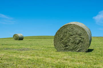 Two large hay rolls on a green, cut meadow with a bright blue sky; Vogelsberg, Hesse, Germany