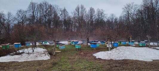 apiary in early spring in the village