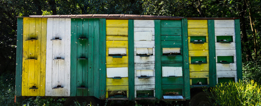 Close-up of a multi-colored rural mobile bee truck parked in the countryside; Brașov County, Transylvania, Romania