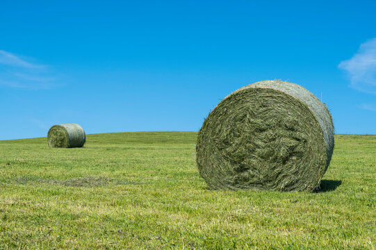 Two large hay rolls on a green, cut meadow with a bright blue sky; Vogelsberg, Hesse, Germany