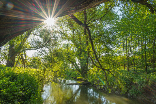 River Kinzig with sunburst reflected on tranquil water; Langenselbold, Hesse, Germany