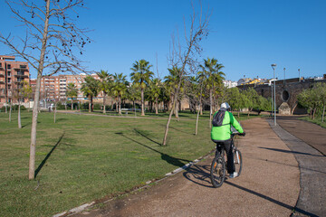 Obraz premium Unrecognizable Elderly Person Riding A Bicycle In The Park. Rear View Of An Older Man Exercising.