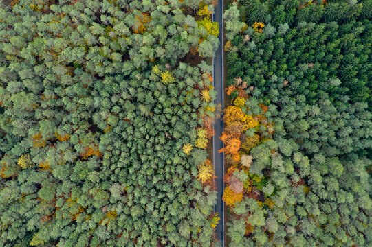 Aerial view of a straight road going through an autumn coloured forest; Steigerwald, Franconia, Bavaria, Germany