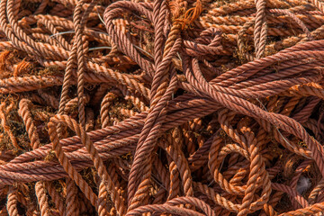 Câbles métalliques à Tarifa, Andalousie, Espagne © Jorge Alves