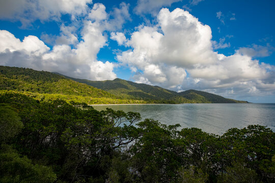 Daintree Rainforest meets Coral Sea at Pacific Coast, Queensland, Eastern Kuku Yalanji, Australia