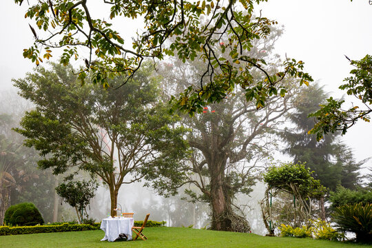 Afternoon tea on the lawn at Sir Thomas Lipton's previously owned Bungalow on the Dambatenne Tea Estate in Hill Country; Dambatenne, Badulla District, Sri Lanka