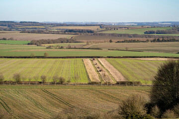 Danebury Iron Age Hillfort; Stockbridge, Hampshire, England