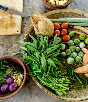 Fresh ingredients at cooking demonstration at rural cooking school near Galle, Sri Lanka