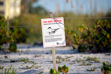 Signboard with warning about nesting area of sea birds on seaside beach with small sand dunes and...