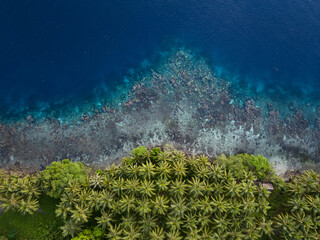 A palm tree-covered tropical island is fringed by a coral reef in the Solomon Islands. This...