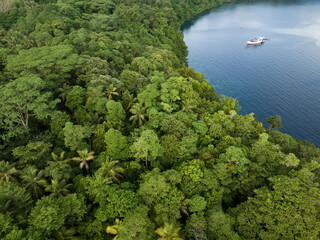 A lush, tropical island is fringed by a coral reef in the Solomon Islands. This beautiful country...