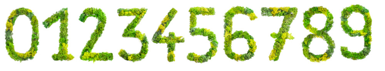 0123456789 numbers, made with green lichen isolated on white background