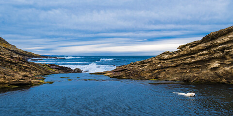 Cala