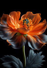 Photorealistic macro shot of a orange flower black
