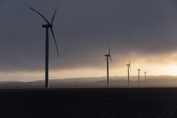 Wind generation towers in the sunlight during sunrise