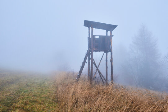 Deer stand on a foggy meadow, Kleine Fatra, Carpathian Mountains; Horna Suca, Slovakia