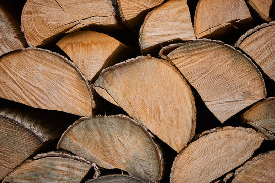 Close-up of the ends of cut wood in a pile on Mount Vapec, Kleine Fatra, Carpathian Mountains; Horna Suca, Slovakia