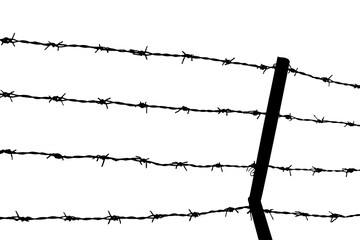 Barbed wire isolated