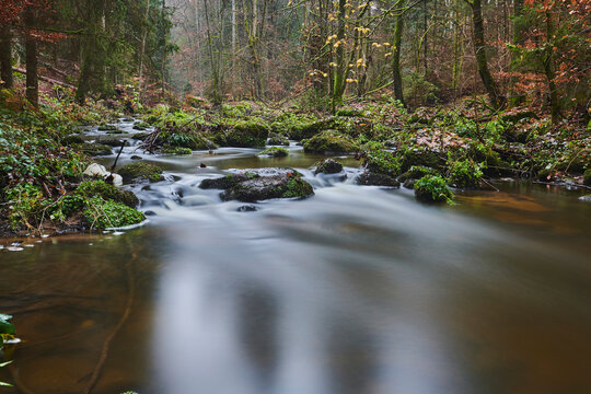 A stream flowing through the forest at Hollental Nature Reserve, Bavarian Forest; Bavaria, Germany