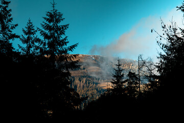 Winter landscape in Apuseni Mountains Romania