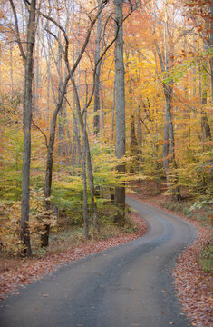 Scenic country road winds along Bull Run Mountain in the Virginia Piedmont.