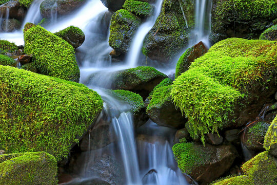Close-up of moss-covered (Bryophyta) rocks with a cascading waterfall; Hawaii, United States of America