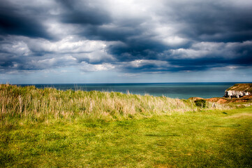 Thornwick Bay Coastline
