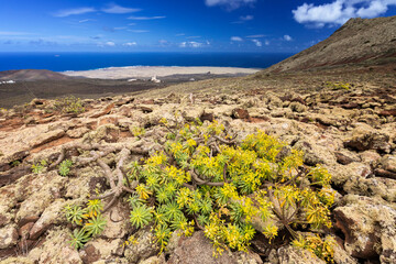 Krajobrazy z wysp kanaryjskich z oceanem i niebieskim niebem. Widoki z Lanzarote. Malowniczy pejzaż z oceanem Atlantyckim. Wyspa wulkaniczna. Wulkaniczna sceneria.	