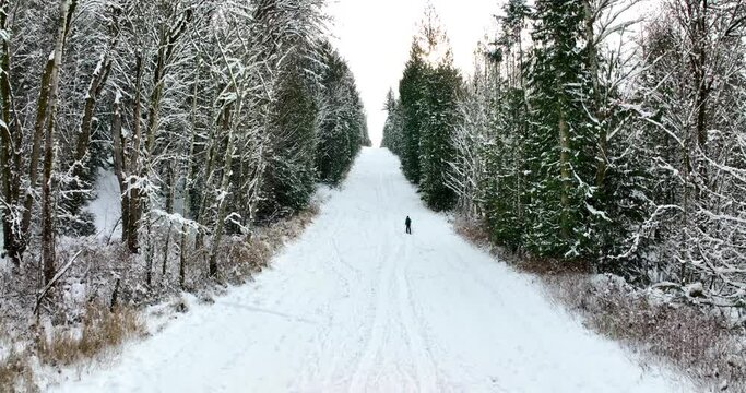 Ski Snowboard Winter Sport Aerial View of Split Boarder Skiing Uphill on a Snowy Slope