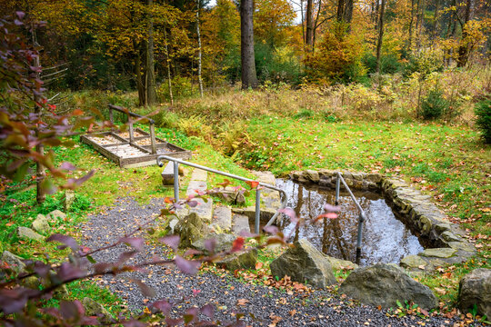 Kneipp Anlage im Erzgebirgswald