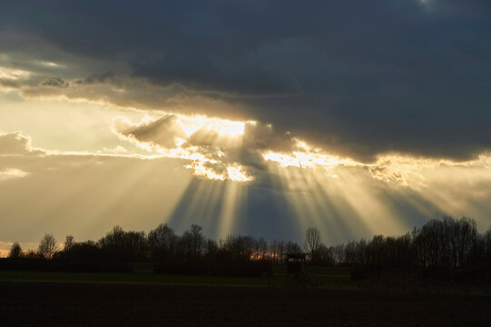 Rays of sunshine coming through dark clouds with silhouetted trees; Bavaria, Germany