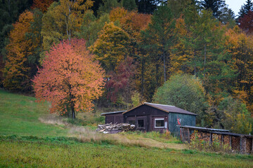 Altes Holz Haus im Herbst Wald