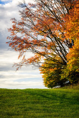 Großer Bunter Baum im Herbst