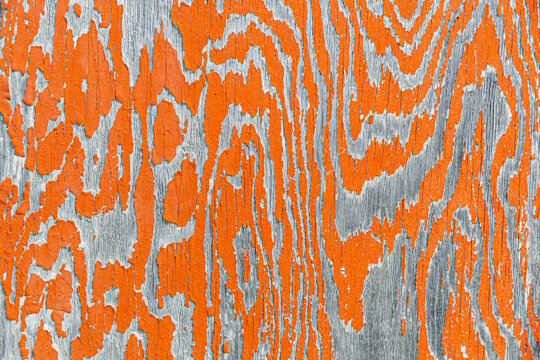 Close-up of weathered plywood pattern detail, painted orange in Summer; Mountain Village, Lower Yukon River, Western Alaska, United States of America