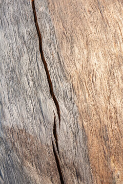 Close-up detail of weathered wood grain pattern in a spruce burl in Summer, Lower Yukon River; Mountain Village, Western Alaska, Alaska, United States of America