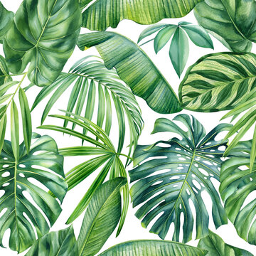 Tropical background, hand drawn watercolor botanical painting. Seamless pattern, Palm leaves, jungle design