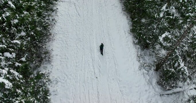 Split-Boarding Snowboarder Hiking Up Snowy Mountain Amazing Aerial View of Small Path in Middle of Gigantic Forest on Galbraith Mt Bellingham Washington USA