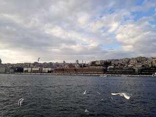 view, Möve, Bosporus, Istanbul, Türkei, Abendröte