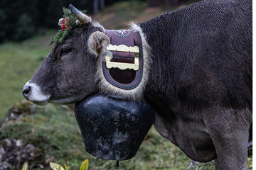 Almabtrieb Allgäu