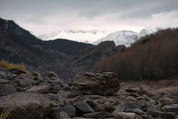 Rocas de río en un bosque. Día nublado