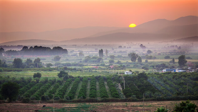 Sunset over fields around Selcuk, near Kusadasi, Turkey; Selcuk, Izmir, Turkey